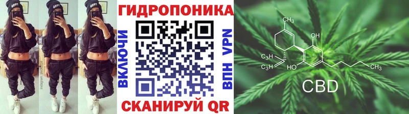 площадка состав  Лахденпохья  Канабис сатива 